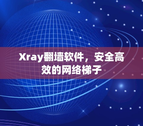 Xray翻墙软件，安全高效的网络梯子