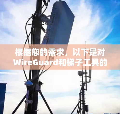 根据您的需求，以下是对WireGuard和梯子工具的总结和建议