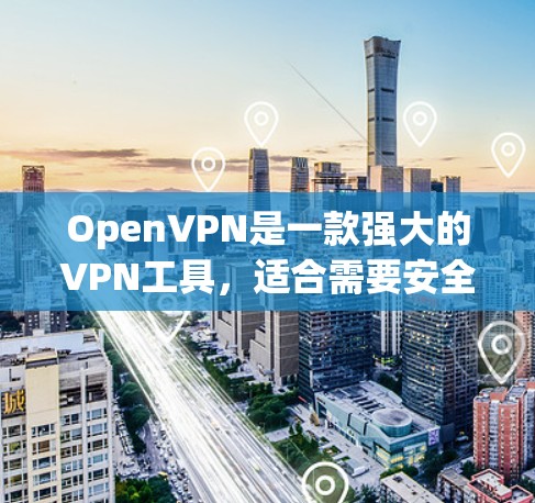 OpenVPN是一款强大的VPN工具，适合需要安全和隐私保护的用户。以下是关于如何使用OpenVPN进行科学上网的详细指南