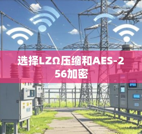 选择LZΩ压缩和AES-256加密