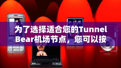 为了选择适合您的TunnelBear机场节点，您可以按照以下步骤进行