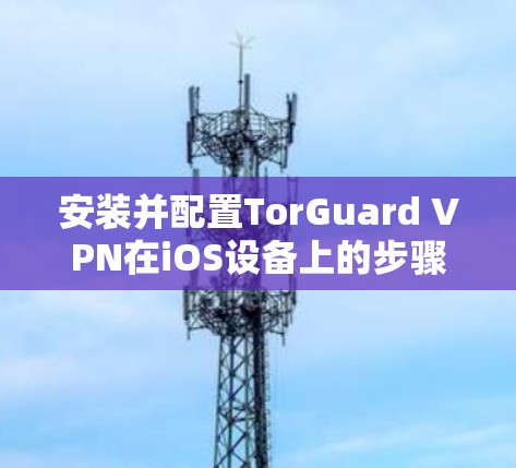 安装并配置TorGuard VPN在iOS设备上的步骤如下