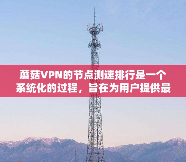 蘑菇VPN的节点测速排行是一个系统化的过程，旨在为用户提供最优质的VPN服务体验。以下是对这一过程的详细分析和总结