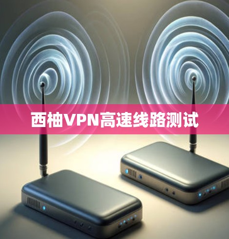 西柚VPN高速线路测试